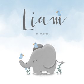 Danksagung Geburt Elefant blau Foto innen