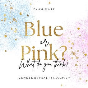 Einladung Gender Reveal Party 'Blue or Pink'