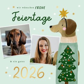 Fotocollage Weihnachtskarte Dackel mit Pulli und Haarreif