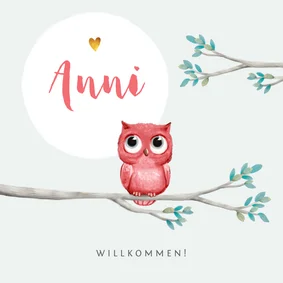 Geburtskarte kleine rosa Eule