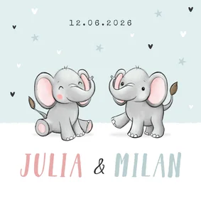 Geburtskarte Zwilling Elefanten hellblau