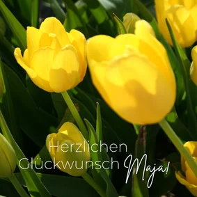 Geburtstagskarte Gelbe Tulpen