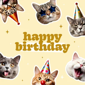 Geburtstagskarte lustige Katzen 'Happy Birthday'