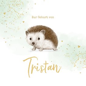 Glückwunschkarte Geburt kleiner Igel