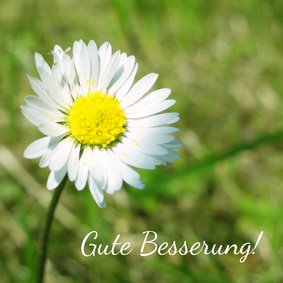 Karte zur guten Besserung mit Gänseblümchen