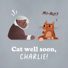 Katzen-Karte Gute Besserung 'Cat well soon'