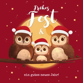 Lustige Weihnachtskarte 3 kleine Eulen mit Mütze