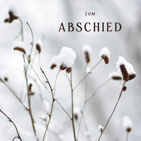 Naturfoto Beileidskarte Winter Äste Schnee