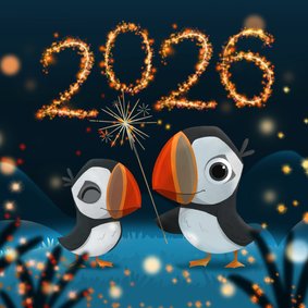 Neujahrskarte Papageientaucher Feuerwerk