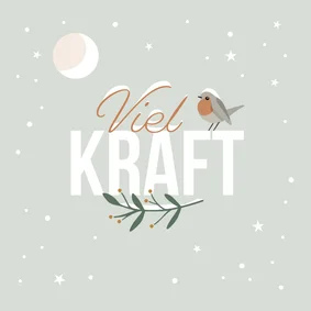 Neujahrskarte 'Viel Kraft' Rotkehlchen im Schnee