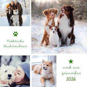 Tierische Fotocollage 'Fröhliche Weihnachten'