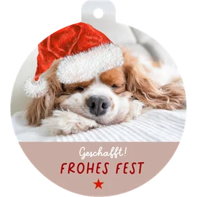 Umzugskarte Weihnachten lustiger Hund mit Weihnachtsmütze