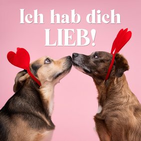 Valentinskarte 'Ich hab dich lieb' 2 küssende Hunde 