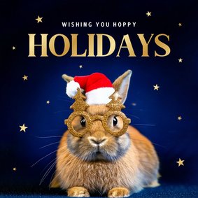 Weihnachtskarte 'Hoppy Holidays' Kaninchen mit Brille