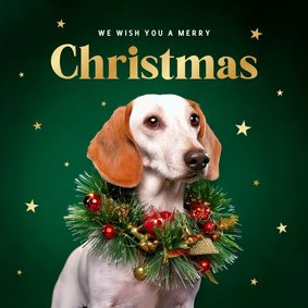 Weihnachtskarte Hund mit Weihnachtskranz 'Merry Christmas'