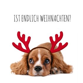 Weihnachtskarte Hund Welpe mit Hirschgeweih