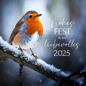 Weihnachtskarte Rotkehlchen im Schnee 'Frohes Fest'