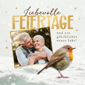 Weihnachtskarte Rotkehlchen im Schnee mit Foto