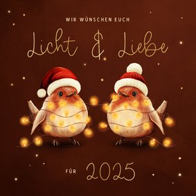 Weihnachtskarte Rotkehlchen Licht & Liebe Lichterkette