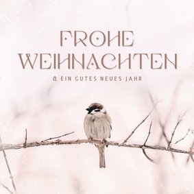 Weihnachtskarte Vogel auf Zweig