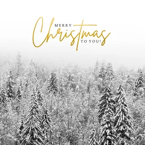 Weihnachtskarte Winterwald in Schwarzweiß