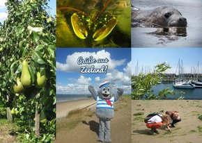 Foto-Urlaubskarte 'Grüße aus Zeeland'