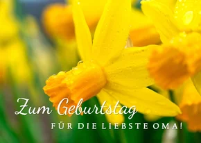 Geburtstagskarte Osterglocken