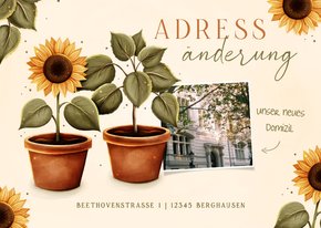 Umzugskarte Sonnenblumen Topfpflanze Foto