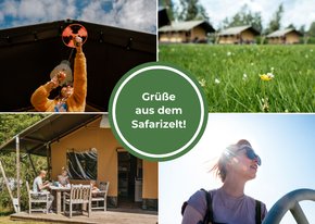 Urlaubskarte Grüße aus dem Safarizelt