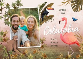 Urlaubskarte mit Foto aus Columbia Dschungel und Tiere