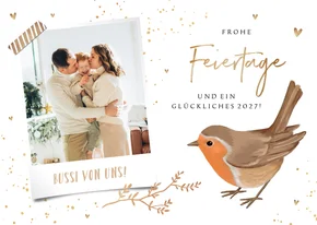Weihnachtskarte Foto und Rotkehlchen