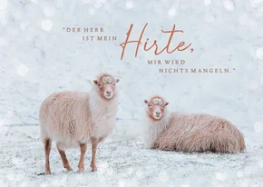 Weihnachtskarte Schafe im Schnee