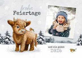 Weihnachtskarte Winterlandschaft Hochlandrind Kälbchen