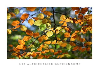 Beileidskarte Naturmotiv Herbstblätter im Sonnenlicht