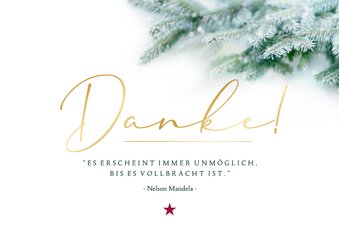 Firmen-Weihnachtskarte 'Danke' Zweige Goldschrift