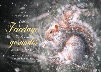 Fotokarte Eichhörnchen Winterwald