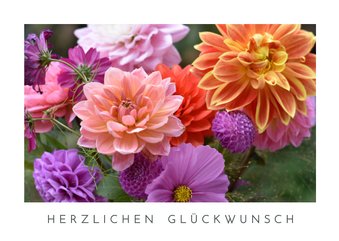 Geburtstagskarte Dahlien Naturfotografie Glückwünsche