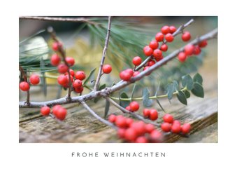 Grußkarte 'Frohe Weihnachten' Naturfoto Beerenzweige