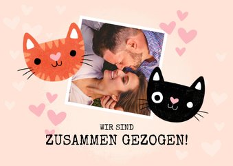 Neue Adresse Karte zusammenziehen Katzen