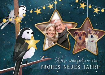 Neujahrskarte Sternefotos & Vögel