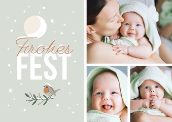 Weihnachtskarte Fotos, Mond & Rotkehlchen