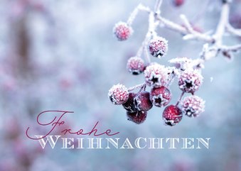 Weihnachtskarte Reif auf Beeren