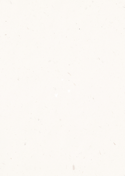 Einladung zur Silberhochzeit Trockenblumen Rückseite