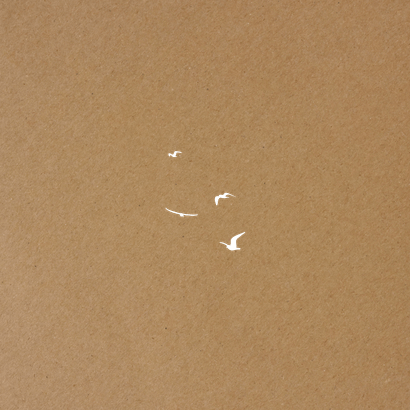 Foto-Dankeskarte Jugendweihe auf Kraftpapier mit Vögeln Rückseite