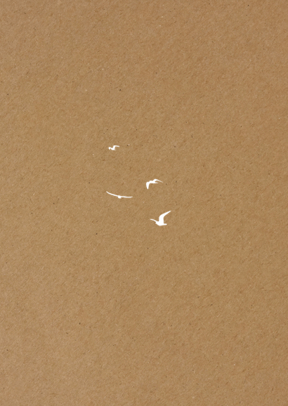Foto-Einladung Jugendweihe auf Kraftpapier mit Vögeln Rückseite