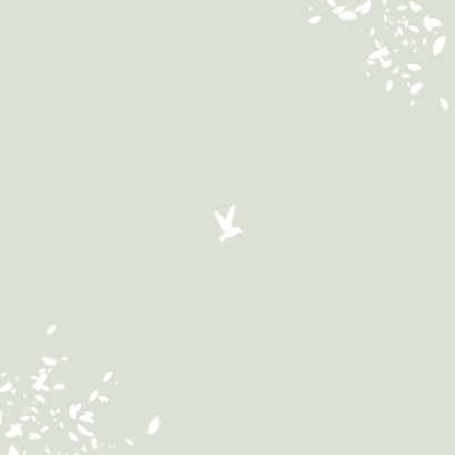 Fotokarte Einladung zur Jugendweihe Baum & Vogel Rückseite