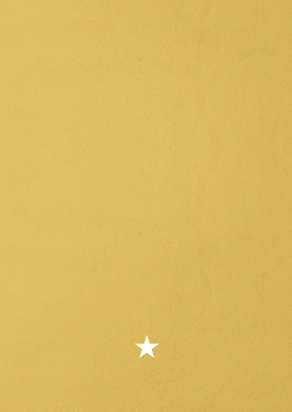Fotokarte 'Merry Christmas' Rückseite