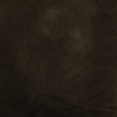 'Prost Neujahr!' geschäftliche Neujahrskarte Logo Welt 2026 Rückseite