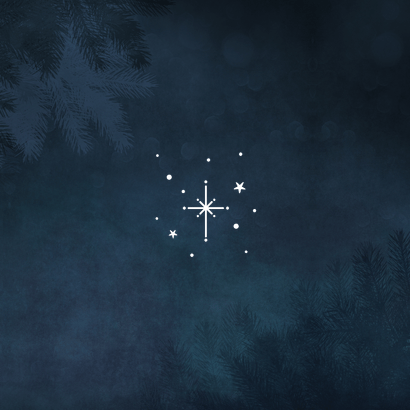 Weihnachtskarte 2 weiße Tauben 'Liebe & Frieden' Rückseite