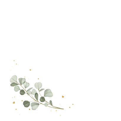 Beileidskarte Englisch Eukalyptus 'Deepest Sympathy' 2